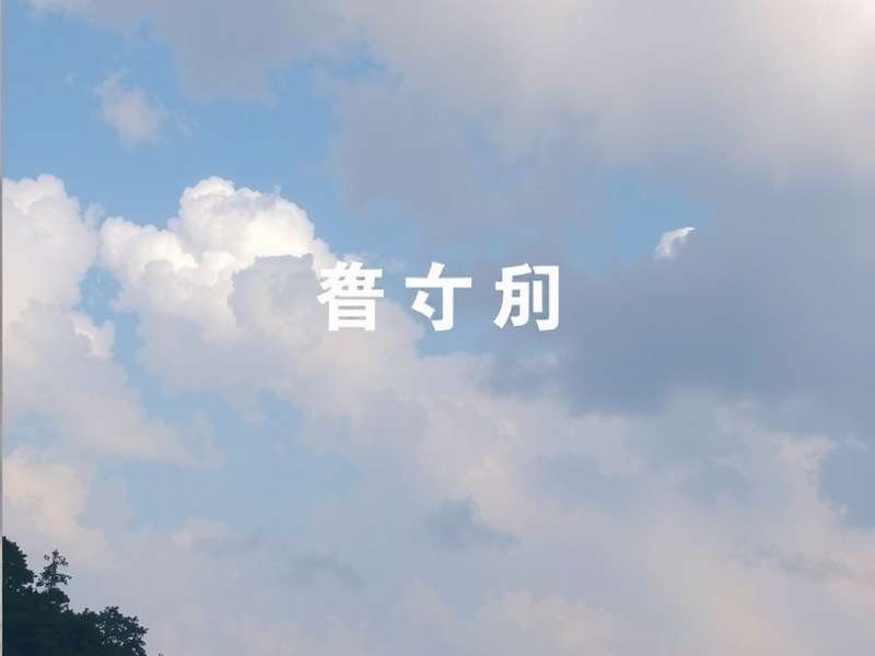 李靜儀 - 金融服務董事